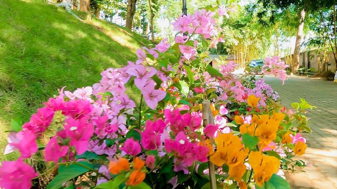 Bougainvillea Retreat & Spa Kaharpara Zewnętrze zdjęcie