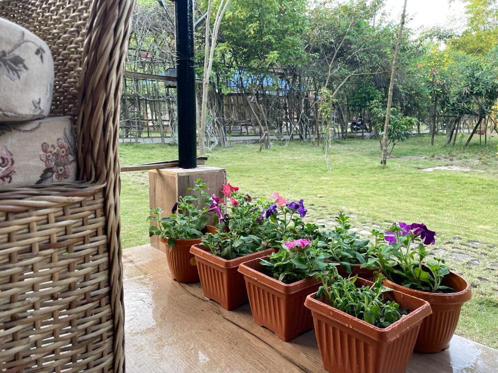 Bougainvillea Retreat & Spa Kaharpara Zewnętrze zdjęcie