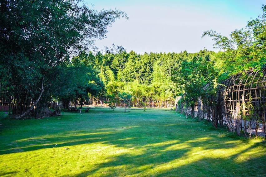 Bougainvillea Retreat & Spa Kaharpara Zewnętrze zdjęcie